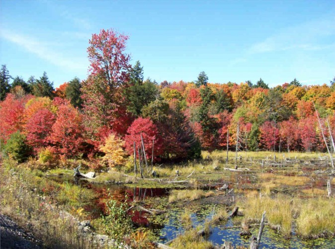 020_Kanada_Naturschoenheiten_Schoene-Aussichten-Touristik_Canada Dream Tours3